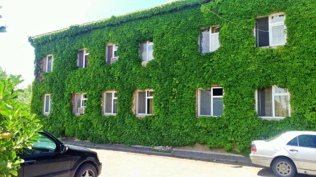 Hotel Lilo near Airport Tiflis Exterior foto